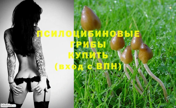 мет Верхний Тагил