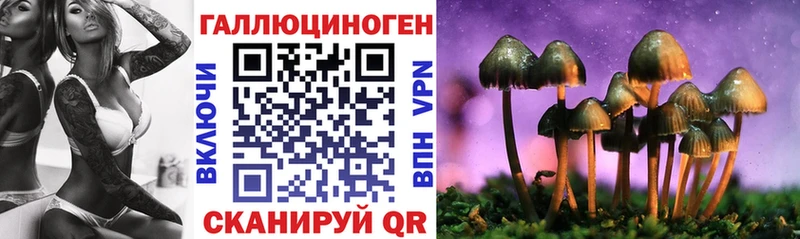 Купить где  Курчалой  Галлюциногенные грибы мицелий 